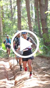 BIB:  <button type="button" onclick="openModal(26569550)" class="btn btn-primary btn-sm float-right" data-toggle="modal" data-target=".modal-high-quality">
                <i class="fa fa-download"></i> Download
                </button>